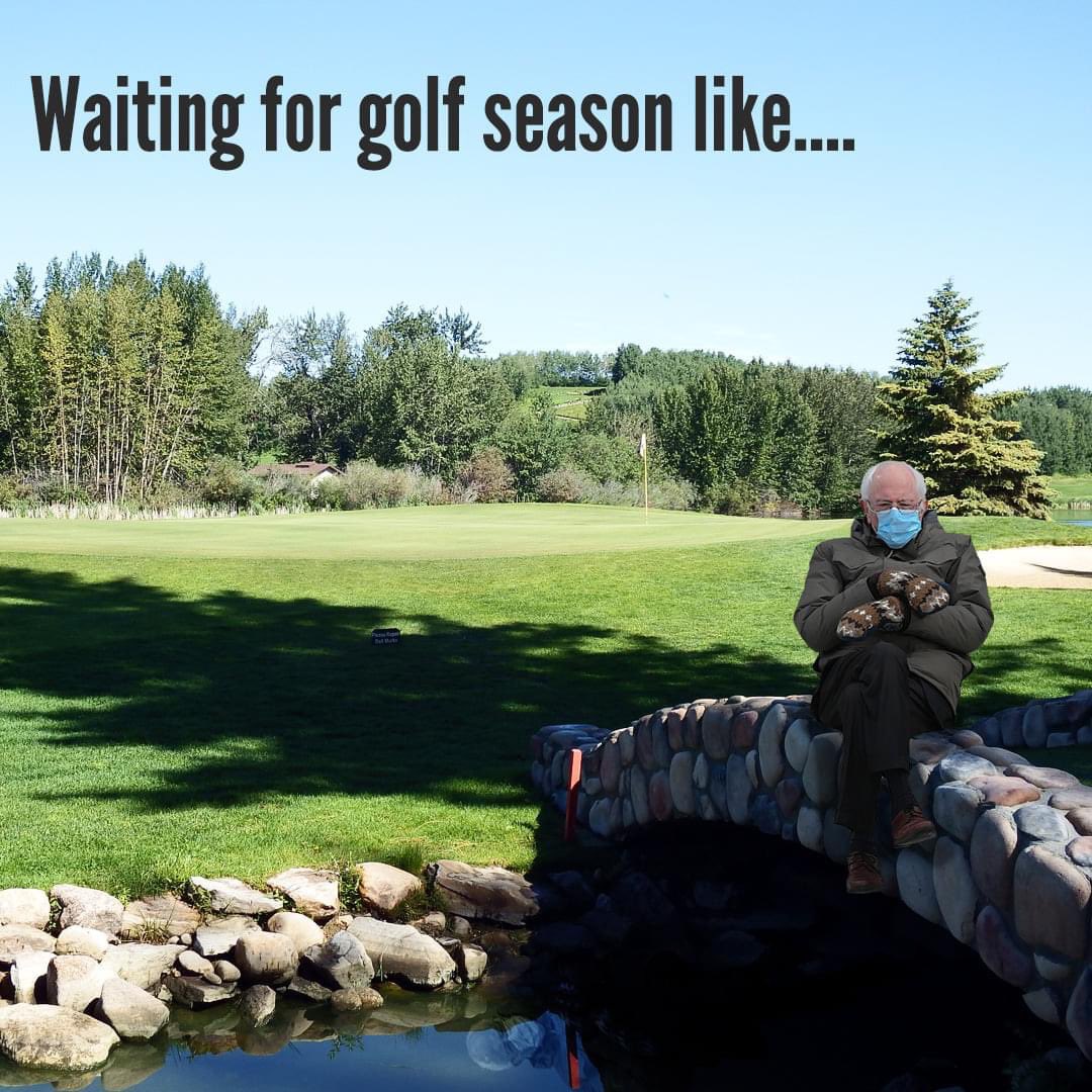 InnisfailGolf's tweet photo. Bernie is everywhere...thought we would join in the fun 😂😂
#ExperienceIGC https://t.co/MU9GMnIOWU