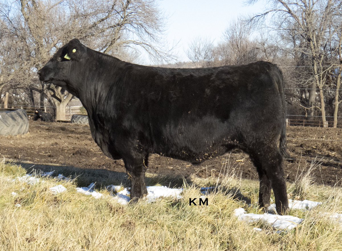 Kyle Musfeldt tweet media