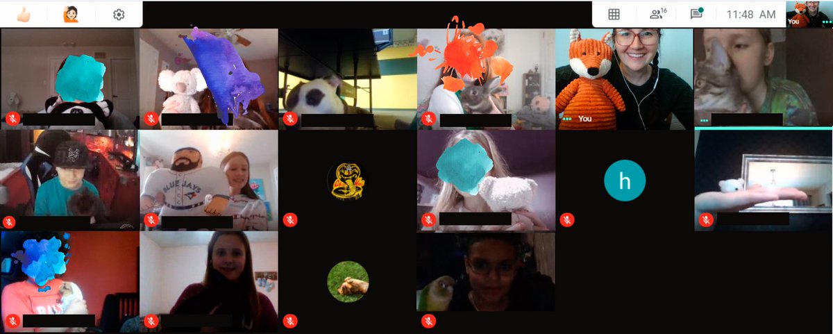 Happy Spirit Day Gators! Bringing your pet or stuffed animal to school is always fun! Check out the special guests that joined our Google Meet today. 🐻 <a href="/GoodfellowPS/">Goodfellow P.S.</a>