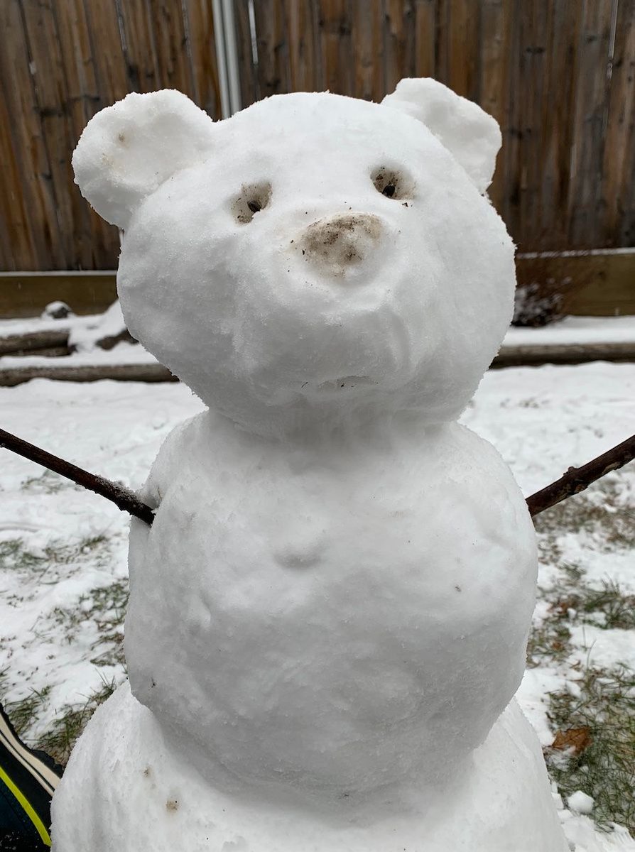 F. N. Caring Society (@CaringSociety) on Twitter photo 2021-01-22 19:46:02 The Caring Society has created a new activity and lesson plan for Have a Heart Day! If you have snow outside and a bit of creativity, join us in creating a snow bear for #HaveAHeartDay and share your bear. See all the details here: buff.ly/394ANzb The Caring Society has created a new activity and lesson plan for Have a Heart Day! If you have snow outside and a bit of creativity, join us in creating a snow bear for #HaveAHeartDay and share your bear. See all the details here: buff.ly/394ANzb