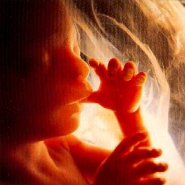 Does it take seeing the baby girl in the womb to make you want to defend her? She has no voice yet. Will you be her voice? #prolife

I want to celebrate the Day we ENDED LEGAL ABORTION!