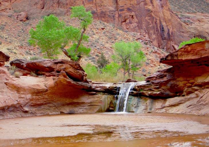 Turn-About Ranch tweet media