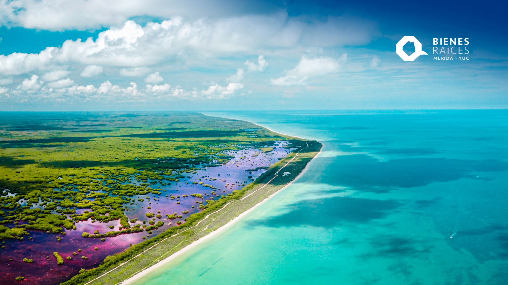 merida_agencia's tweet photo. Disfruta del ecoturismo en Yucatán: Sisal
https://t.co/anQIgOuOyD
#Ecoturismo #QuéhacerenYucatán #WhattodoinYucatan #Sisal #Manglares #Hunucmá #AgenciaInmobiliariaYucatan #AgenciaInmobiliariaMérida #BienesRaícesYucatán #BienesRaícesMérida #YucatanRealEstate #MeridaRealEstate https://t.co/GZpzWrQbot
