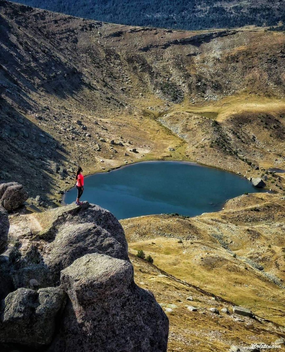 Soria está de moda tweet media