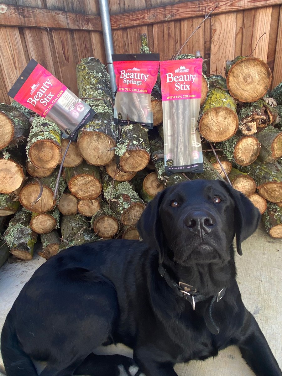 SFPet's tweet photo. Tasty and good for you? Yes! Dogs all around are giving these chews 4 paws up! BeautyStix™ &amp; BeautySpringz™ have 75% collagen which may support healthy joints, skin and coat. #collagen #dogchews #dogtreats #Beauty #yum #superiorfarmspetprovisions https://t.co/MmnV5jffU9