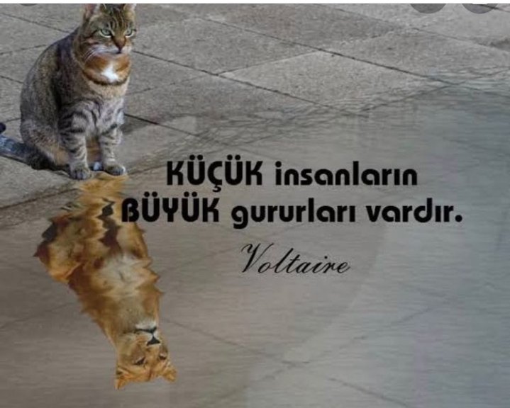 Mehmet00160416's tweet photo. #YALANMI https://t.co/4UoEkJfuaf