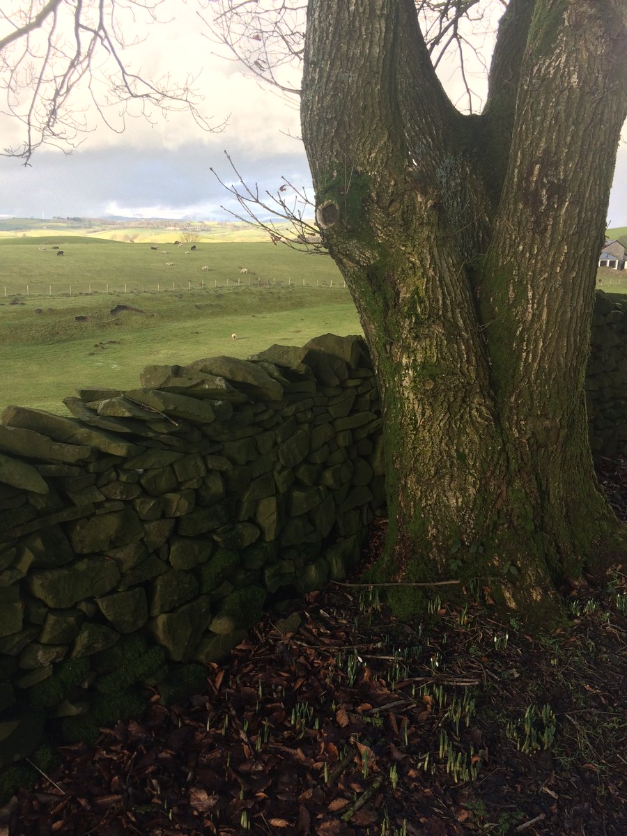 It's the weekend!I've been out this aft' to find a lovely story.I've just checked something online and now I'm crying. In a happy, good way. You might too, after this...7 miles on a bike, a local legend, strangers united by squirrels, a bench, birds & #46 play a part.THREAD