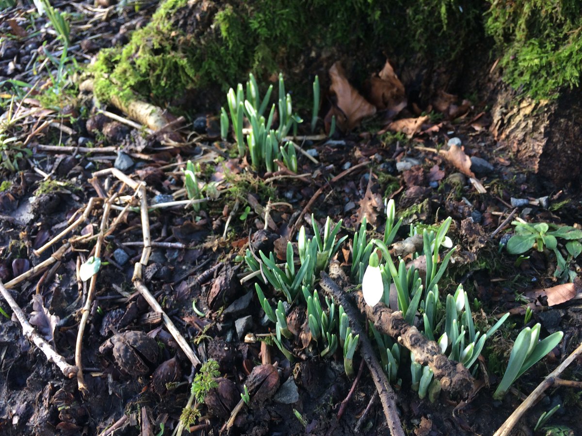 It's the weekend!I've been out this aft' to find a lovely story.I've just checked something online and now I'm crying. In a happy, good way. You might too, after this...7 miles on a bike, a local legend, strangers united by squirrels, a bench, birds & #46 play a part.THREAD