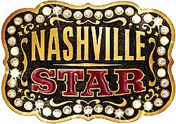 Nashville Star is basically American Idol for country singers. The show aired on TV until 2007 and we have evidence that one of the judges, Anastasia Brown, is connected to Britney's business manager Lou Taylor and many of the companies under Britney's name.  #FreeBritney