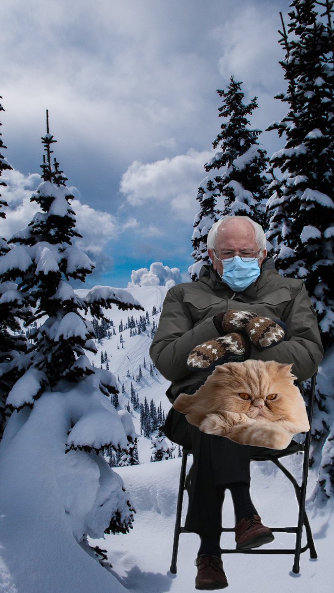 Who wore the grumpy face &amp; fluffy paws better? 😾 <a href="/BernieSanders/">Bernie Sanders</a> #BernieSanders #Berniememes #BernieSandersMittens #berniesmittens #MittensAndKittens