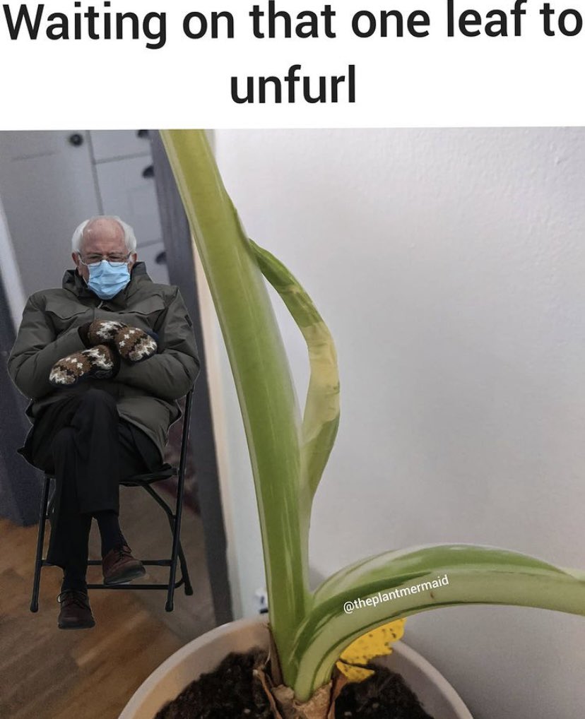 NicqTheManager's tweet photo. This one tickled me! https://t.co/tKuC7rOJis