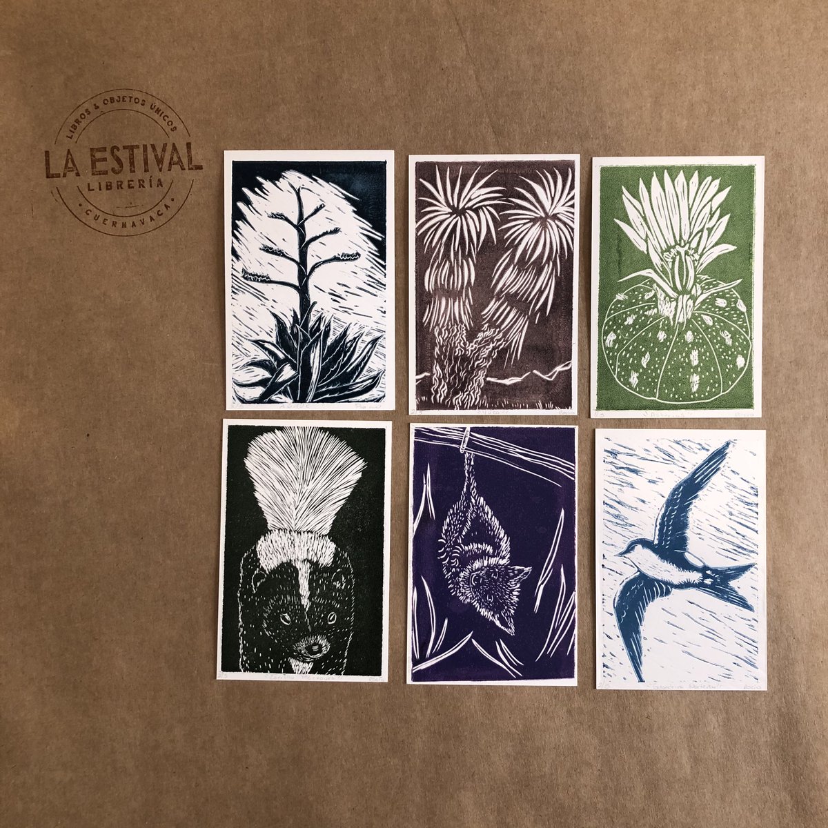 LaEstival's tweet photo. De la sección de objetos únicos te presentamos las postales del El charco del ingenio.
#librería #libre #laestival #objetosúnicos #cuernavacamorelos https://t.co/0OrRJKyqcf
