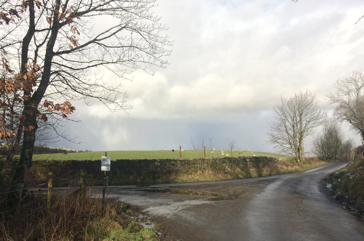 Second time out on my bike (now the 3" inch thick ice has gone from our back lanes). First time I saw snowdrops!A greyhound peed on them as I approached so I kept cycling...circled back once it left, to gaze down & take pics (the dogwalker must have 'wondered' about me)The M6