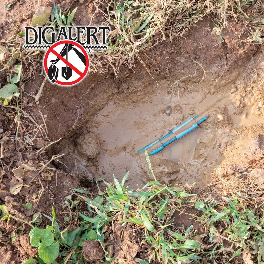 When a pipeline leaks or breaks, it can cause significant damage to your yard. 

Before attempting to begin repairs. Contact us at direct.digalert.org.

fal.cn/3cUUC

#DigAlert #SouthCalifornia811