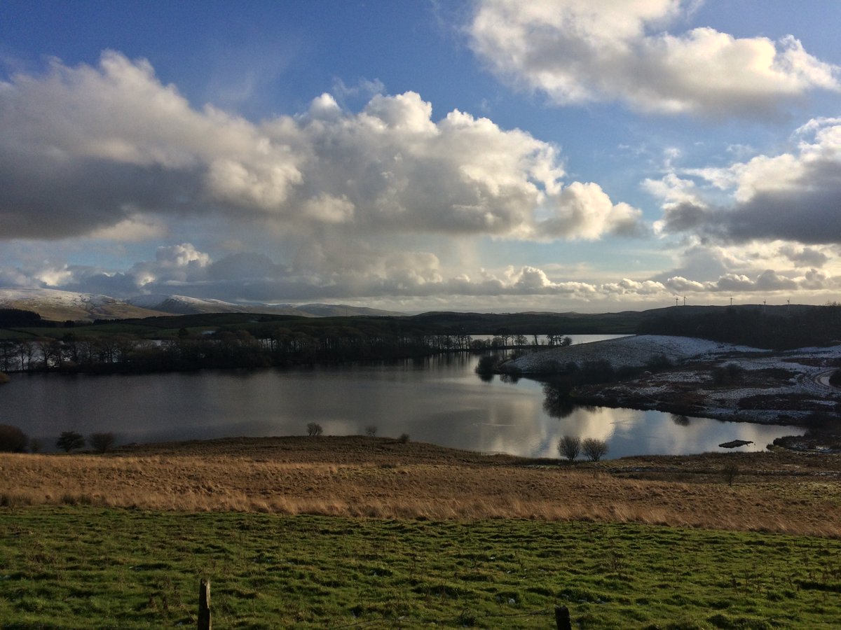 I was off to look for a bench my postman told me about.It's in memory of his dad, a former soldier, florist, birder, photographer, hearse driver and true wildlife hero called Fred. Fred made me a birdwatcher.He also built a tiny island for birds, known as "Fred's Folly".Look