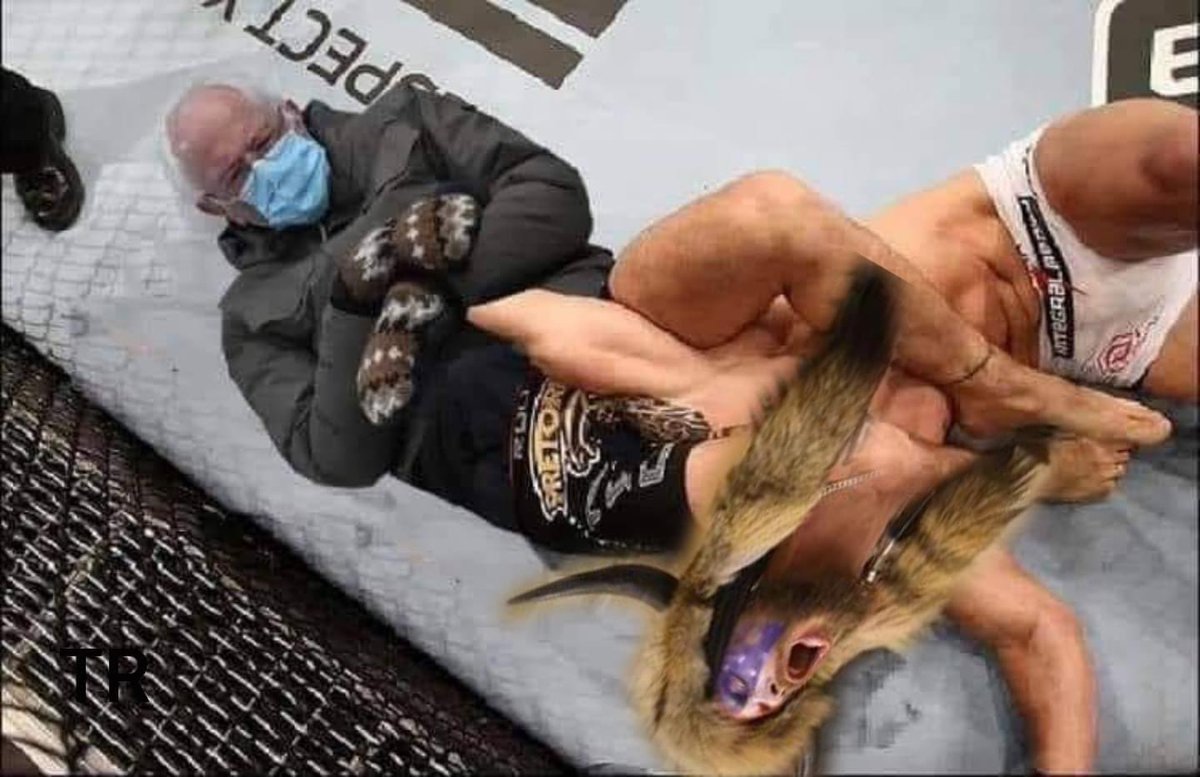 Script_Daddy's tweet image. ⁦@joerogan⁩