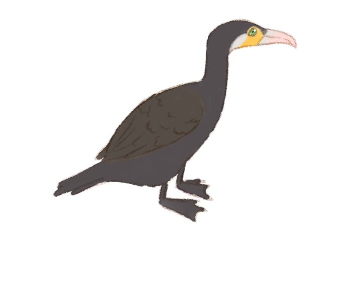 水鳥のtwitterイラスト検索結果 水鳥のtwitterイラスト検索結果