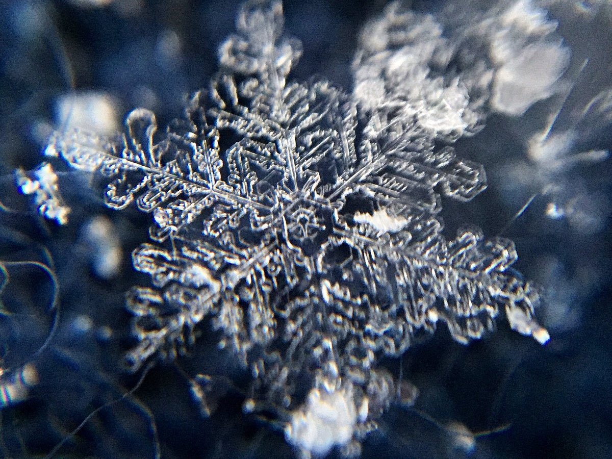 荒木健太郎 雪の結晶はスマホで撮影できます 100均のスマホ用マクロレンズを使うとスマホで手軽にとても綺麗な写真が撮れちゃいます コツは最大ズームで接写して連写 マクロレンズつけて被写体から数cmでピントがあいます 首都圏のみなさま 雪が降っ