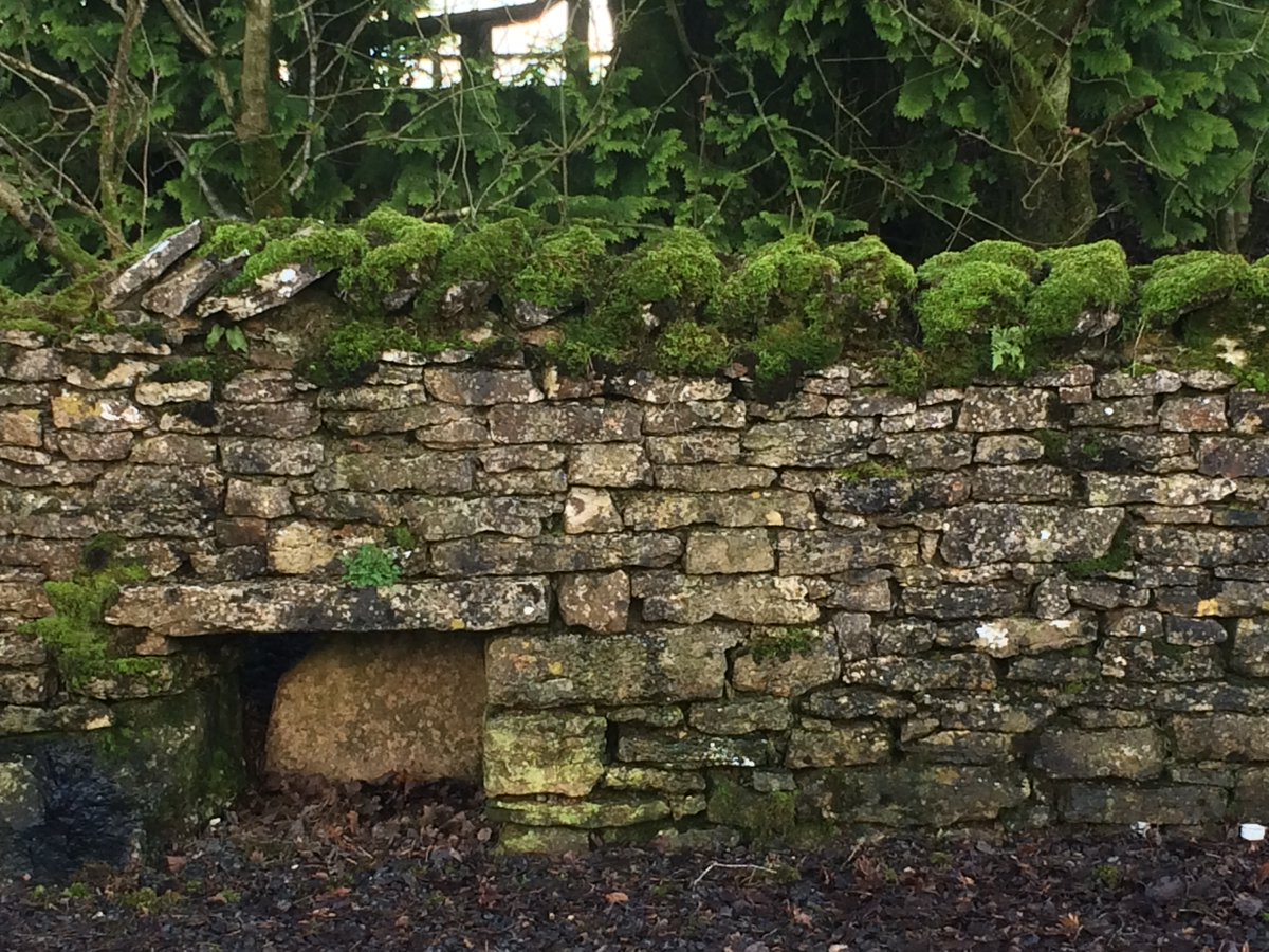 The service station is full of Westmorland stonework.Hogg-holes & squeeze stilesOn the way home two women saw me slow-cycling looking up at trees. "We've seen a red squirrel" they cried.I missed it with all their shouting (joke).So here's one by  @cainscrimgeour  @WildIntrigue