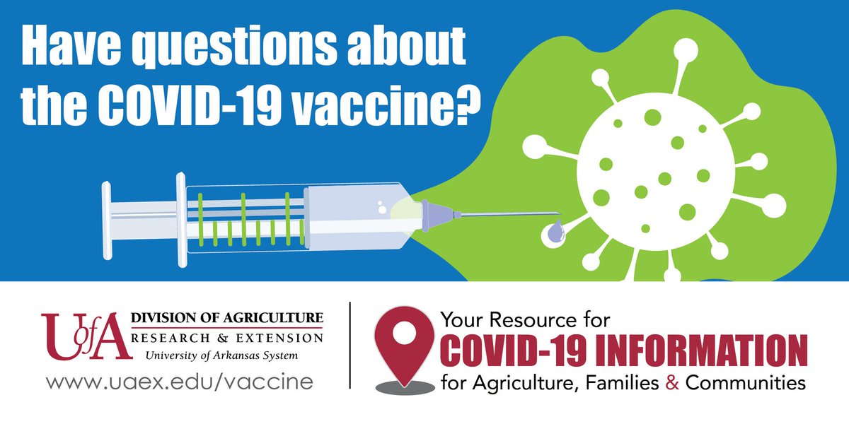 popecountyfcs's tweet photo. Have questions about the #COVID19 vaccine? @uaex_edu has answers. Visit https://t.co/GAPSJkIIIV https://t.co/5zXDp0eIwQ