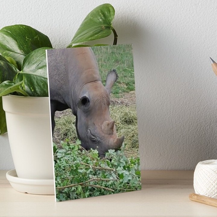 Please like share and follow my store thank you :-) #gifts #photography #NaturePhotography #animals #wildlife #bloggers 
DeeWishies.redbubble.com