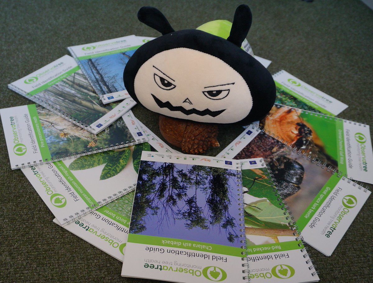 tree_terrors's tweet photo. Hello @bug_beastie Great to see you here @Forest_Research uk Are you checking out your competition in the amazing #Observatree  Pest &amp; Disease Field Guides!! #BeastieBug #IYPH2020 #planthealth https://t.co/4VMqNk54eG