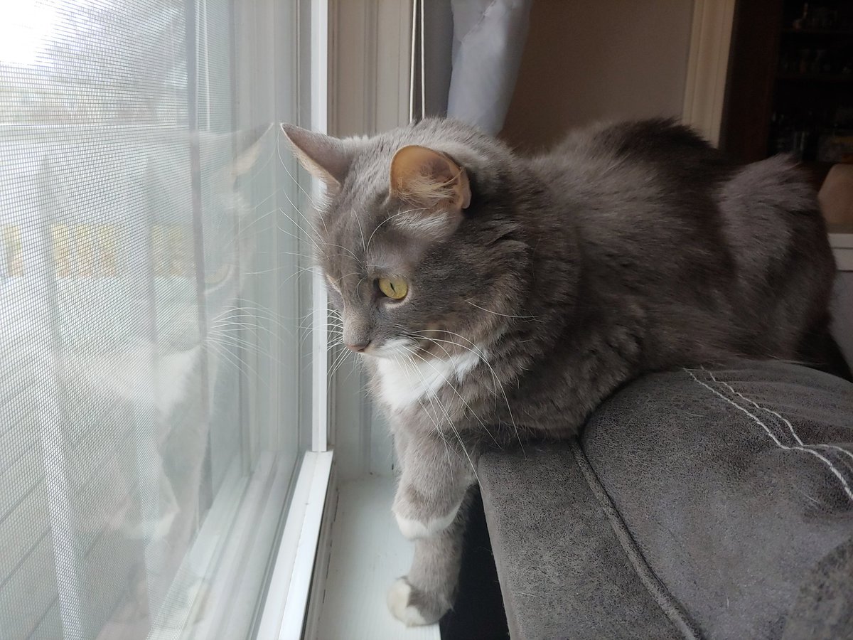 Rinkio2's tweet photo. @babycatzelda Hello https://t.co/WuyZtOmSwG