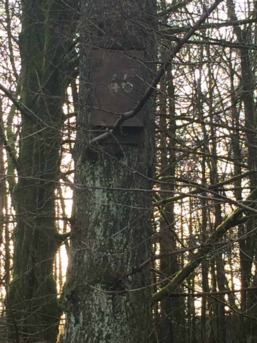 It's probably called Jammy Meadow for herons - that were once called "jammy cranes".I'd had a great time. Only 7 miles there (and back). Oh, I forgot about the #46! 46 has had a good week.As I left the bench I saw bat boxes galore.Bet Fred was involved. Last one I saw was: