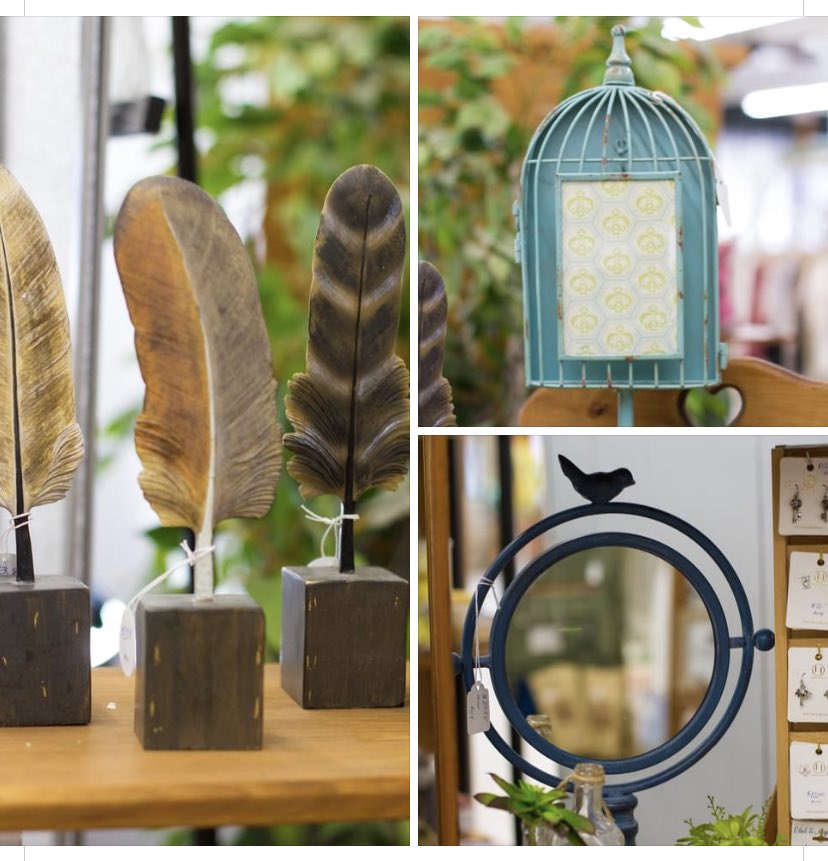 cdcmorrisonmn's tweet image. Shop the Shoppes!
Shoppes of #LittleFalls has a great variety of home decor items including pillows, vases, candles, wreaths, signs, and so much more.
facebook.com/99205636086303… 
#ShopSafeShopSmall #shoplocal #LittleFallsMN #MorrisonCounty