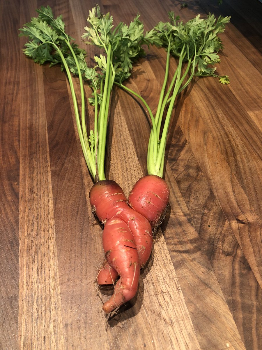cheffonzo's tweet photo. These Swank Farms carrots need to get a room! Gheesh!! @Swank_Farms https://t.co/qGNfhEqdBA