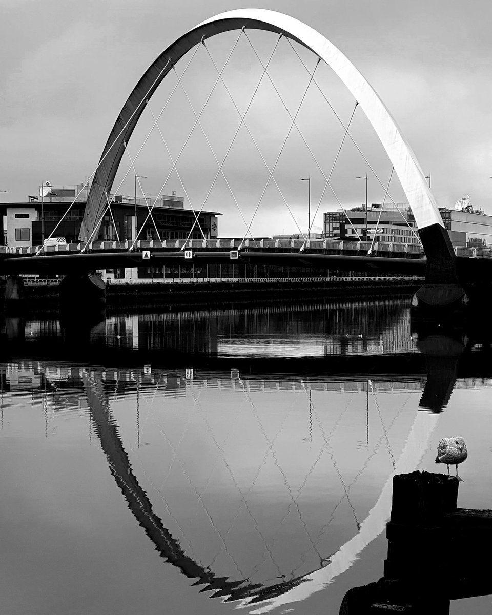 'The Seagull and his Circle'

Duffy81.picfair.com 
#rd81photography #glasgow #ig_glasgow #instaglasgow #glasgowist #glasgowlive #ig_scotland #visitscotland #ilovegla #iloveglasgow #scotland #glasgowwestend #RiverClyde #seagull #clyde #squintybridge #ClydeArc  #monochrome