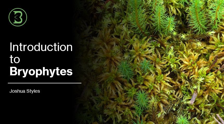 British Botany tweet media