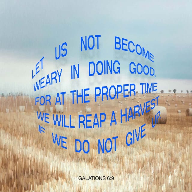 VisionArizona's tweet image. As you go into your weekend, we encourage you to reflect and walk forward remembering with this  "Let us not become weary in doing good, for at the proper time we will reap a harvest if we do not give up." Galatians 6:9 (NIV)