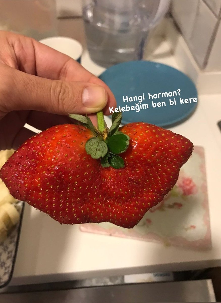 #dgklb kelebeğim hormonlu bu aralar 3.03 gecmezsen stobun Allah'ısın 🥱🥱