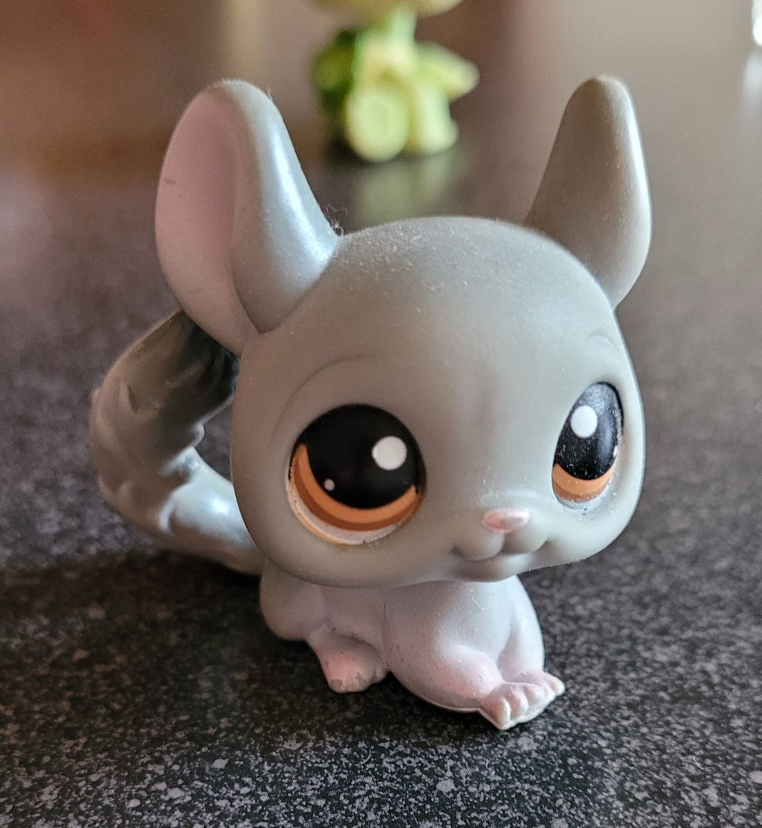 seokjin as my chinchilla (AAA jinchilla agenda, hmu if u agree)