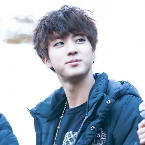 seokjin as my chinchilla (AAA jinchilla agenda, hmu if u agree)