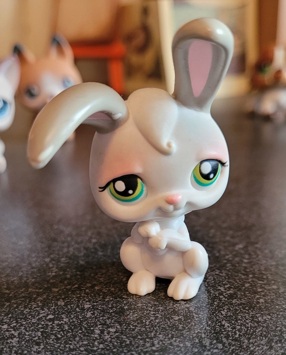 and finally jungkook as my rabbit named bun bun (and I think we all know why jk is a bunny but this bunny especially is so special to me :3 )