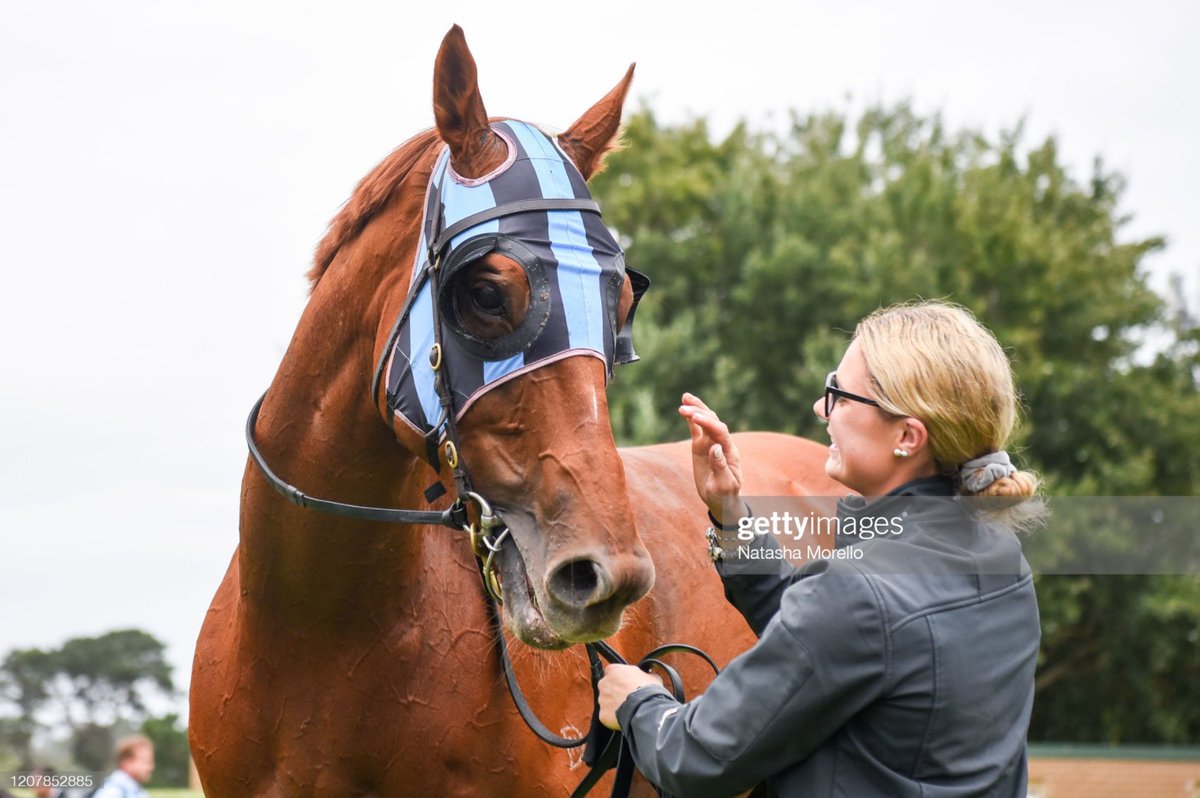 YargiRacing's tweet photo. Just the 2 runners for the stable today, excitingly split between @royalrandwick &amp; @YVRacing 🏇🏼
Best of luck to connections &amp; a big shout out to @rubba0711 for looking after I’m Telling Ya in Sydney!

YV R3 H5 Mystery Bad Guy C Newitt 58kg
R R4 H3 I’m Telling Ya N Rawiller 57.5kg https://t.co/j7WVUnqDR7