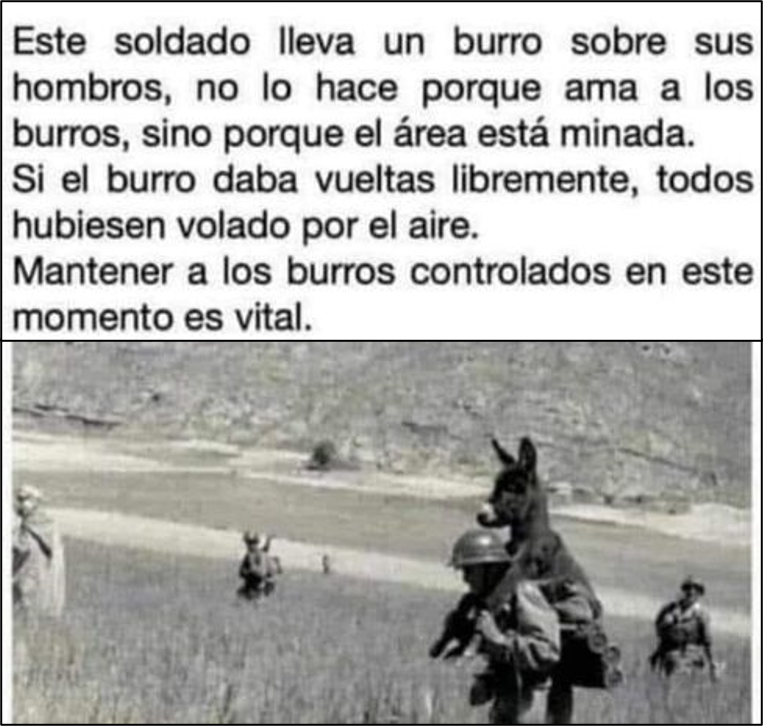 perezcapdevila's tweet photo. Tiempos inciertos: COVID19 y Ordenamiento.
A buen entendedor, breve hablador. https://t.co/NKx0oIwe4b