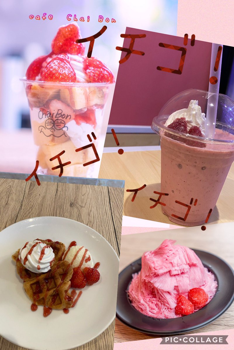 Cafe Chaibon Chai Bonのイチゴ達 Chaibon 群馬 群馬カフェ カフェ群馬 前橋 前橋 若宮町 台湾カステラ 台湾かき氷 クロッフル 生ジュース テイクアウト インスタ映え Instagram Inst Cafe好き ネコ好き Cafe前橋 今年バズるスイーツ