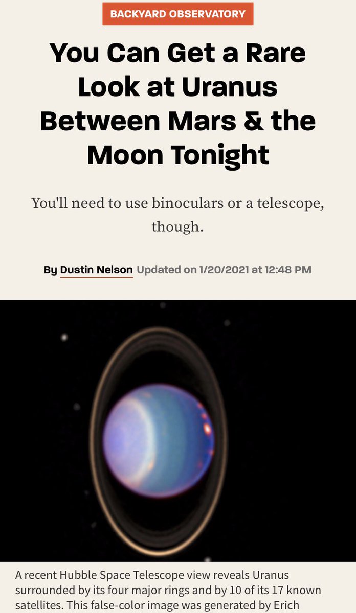 DJTurtleScratch's tweet image. 