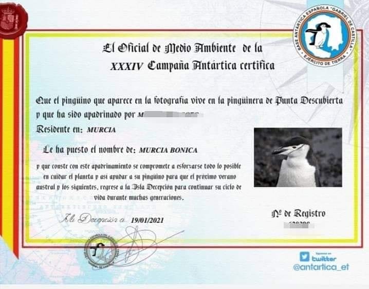 🐧¡APADRINA UN PINGÜINO! 🐧

Gratuito y abierto a todo el mundo. Lo importante es demostrar su compromiso con el cuidado y respeto al #MedioAmbiente

📜Consiga ya su diploma rellenando el siguiente formulario 👉🏻sede.defensa.gob.es/acceda/apadrin…

#CampañaAntártica
<a href="/EjercitoTierra/">Ejército de Tierra 🇪🇸</a> 🇪🇸 #Murcia