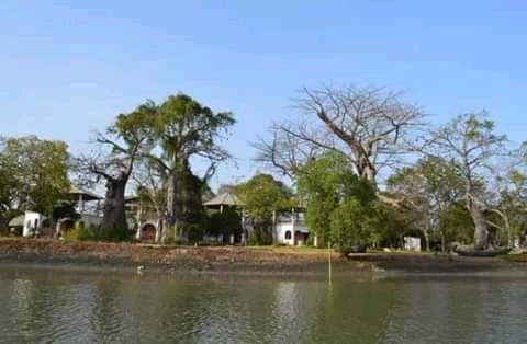 BabadingT's tweet image. The Gambia