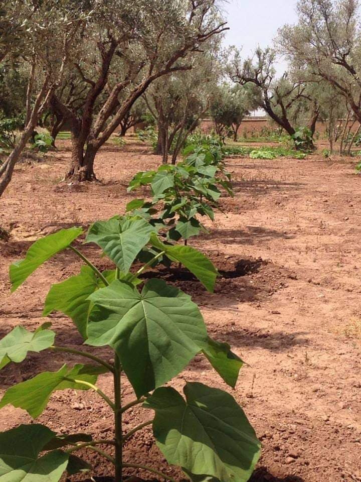 SMAFEC SARL (@smafec_sarl) on Twitter photo 