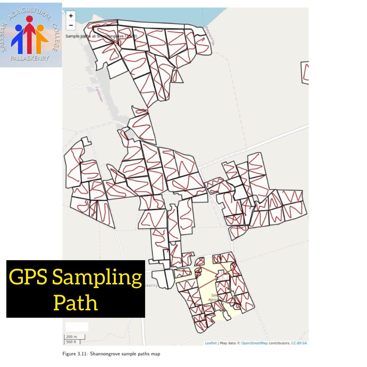 Salesian Agricultural College (@salesianag) on Twitter photo Soil results & maps back today from @FarmeyeIreland Soil fertility improving from last sampling 3yrs ago and well improved from sampling 6 yrs ago.Good Fertility + <a href="/Germinal_Ire/">Germinal Ireland</a> varieties + <a href="/Grasslandagro/">Grassland Agro</a> fertiliser + <a href="/PastureBase/">PastureBase Ireland</a> + management gave us over 16T DM/Ha grown in 2020 Soil results & maps back today from @FarmeyeIreland Soil fertility improving from last sampling 3yrs ago and well improved from sampling 6 yrs ago.Good Fertility + <a href="/Germinal_Ire/">Germinal Ireland</a> varieties + <a href="/Grasslandagro/">Grassland Agro</a> fertiliser + <a href="/PastureBase/">PastureBase Ireland</a> + management gave us over 16T DM/Ha grown in 2020