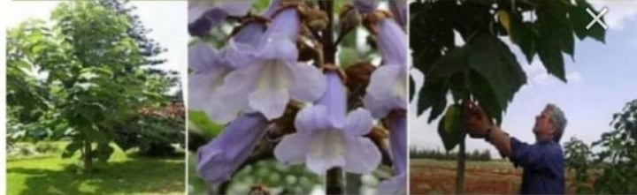 SMAFEC SARL (@smafec_sarl) on Twitter photo 