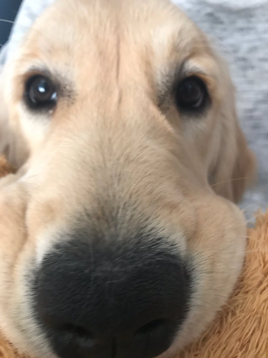 second is an up close grandpa-who-doesn’t-know-how-to-use-a-camera-facebook-profile-picture shot