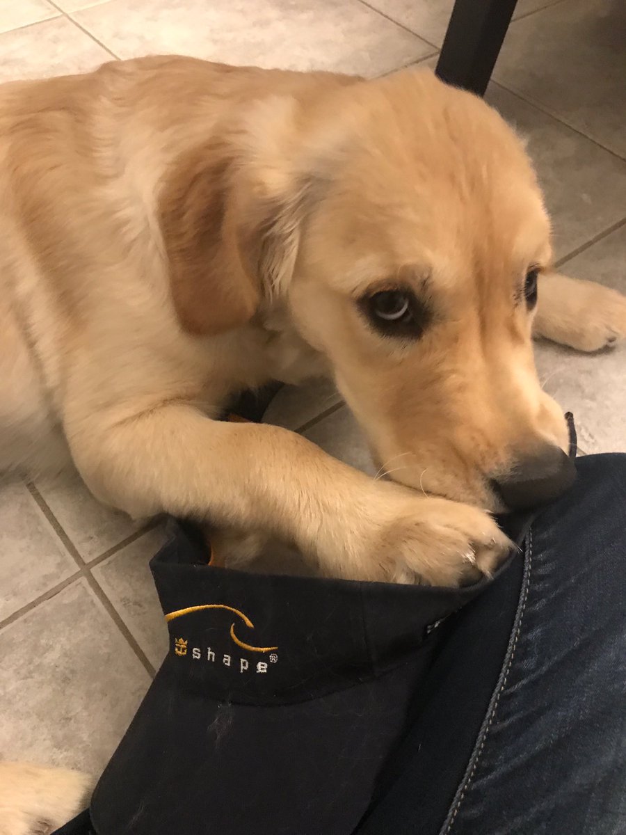 she looks sorry, but why would she be, she can do no harm