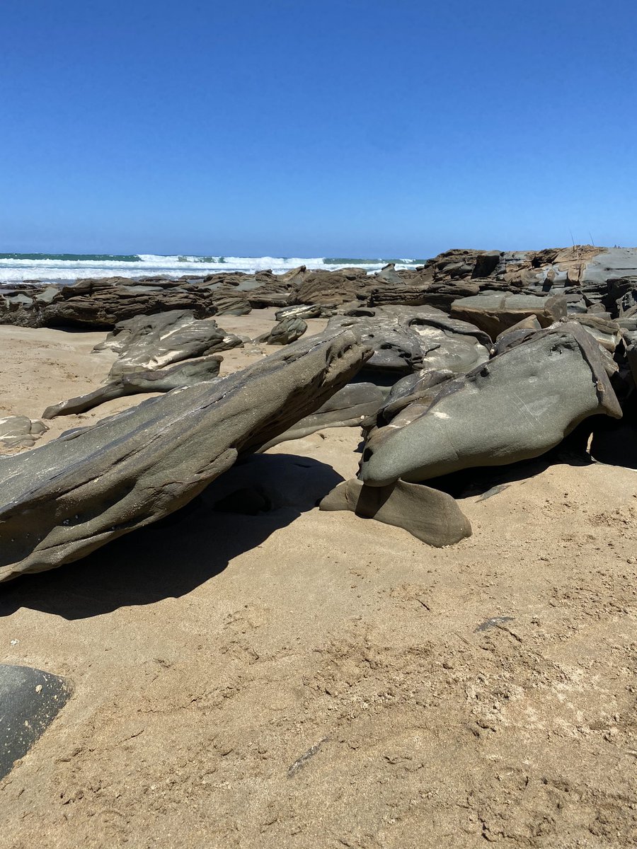 Happy Saturday 💙 wish you were here 🏄‍♀️🏄‍♀️🏄‍♀️#Lorne