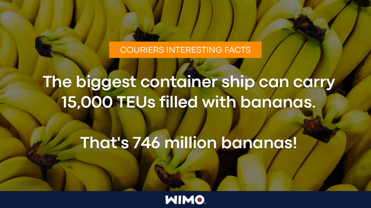 ShipWimo's tweet photo. [Do you know?]

The biggest container ship 🚢 can carry 15,000 TEUs filled with bananas.

That's 746 million bananas! 🍌🍌

https://t.co/obeH1hyNx1

#ecommerce #cod #saudiarabia #smallbusiness #uaebusiness #logisticmanagement #courierservice #instantcod #cashondelivery https://t.co/MJVA3Q8Gjf